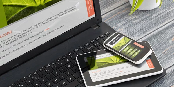 Web View